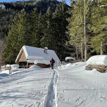 Stern Cabin Chalet