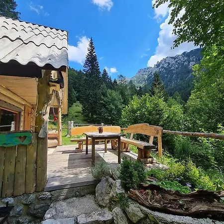 Chalet Stern Cabin Zirovnica
