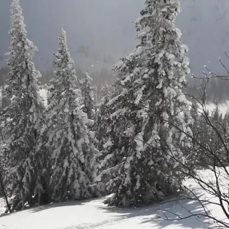Chalet Stern Cabin *