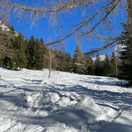 Chalet Stern Cabin Zirovnica